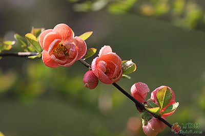 亿博体育开户 优博平台登录注册