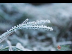 水果机下载软件·湖上