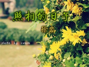 太阳城百家乐