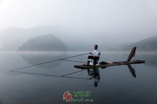 申请麻将群软件在哪个地方收钱?