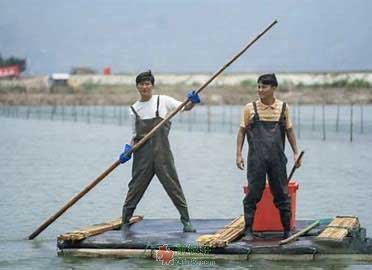 那山那海